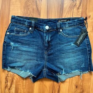 BLANK NYC “the Astor” Jean short 🔥 cut-off 🔥 raw hem 🔥 distressed 🔥 size 29